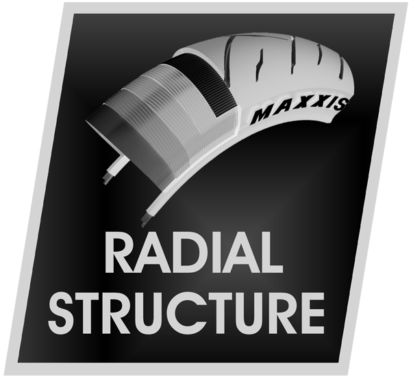 RADIAL STRUCTURE